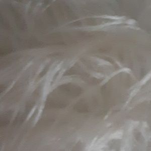 Meet your Posher, Tami